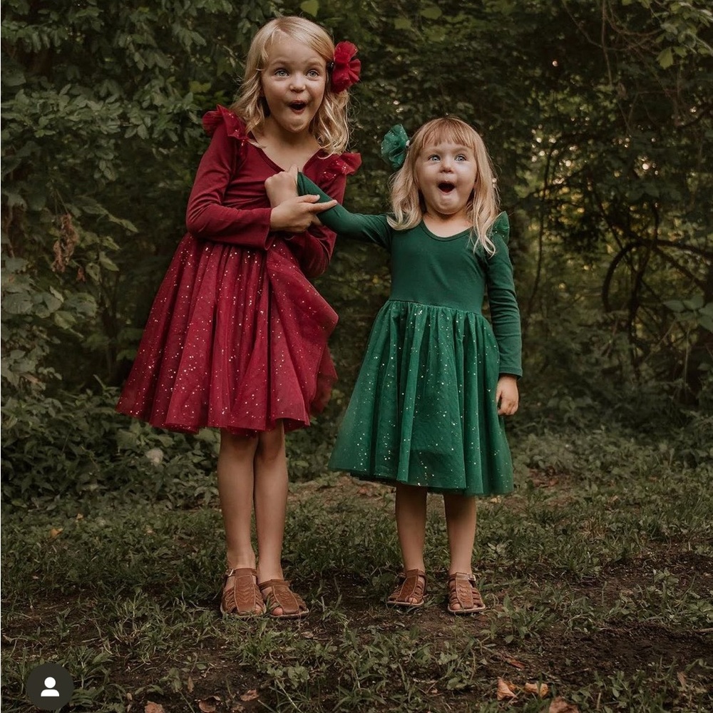 NWT Elestory Ballerina Dress Winterberry ✨